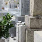 墓地の改葬の手続きや手順について