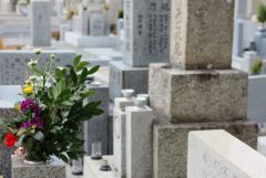 墓地の改葬の手続きや手順について