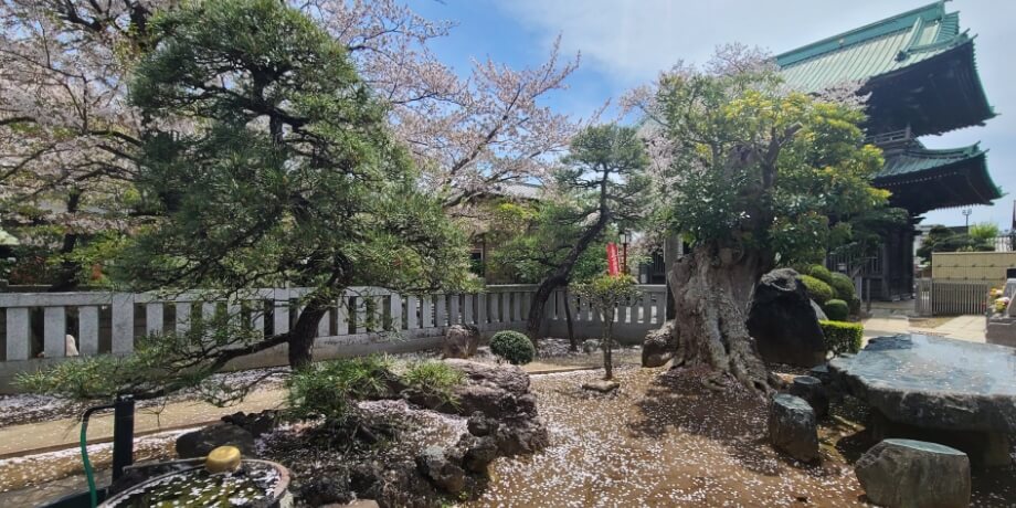 池本寺樹木葬の概要